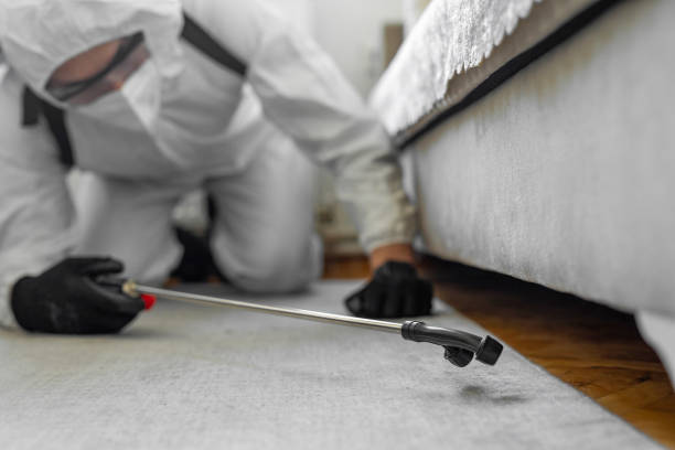 Professional Cockroach Control technician working in Cayuga, IN
