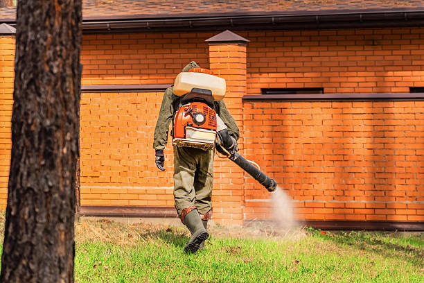 Top rated local Cockroach Control specialists in Cayuga, IN